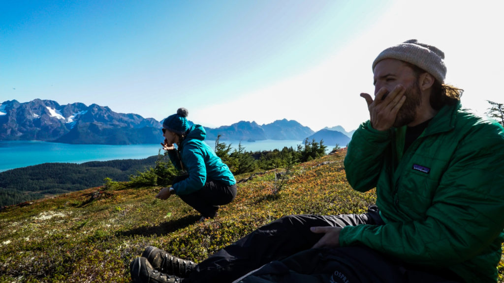 Hikers eat blueberries overlooking Resurrection Bay.