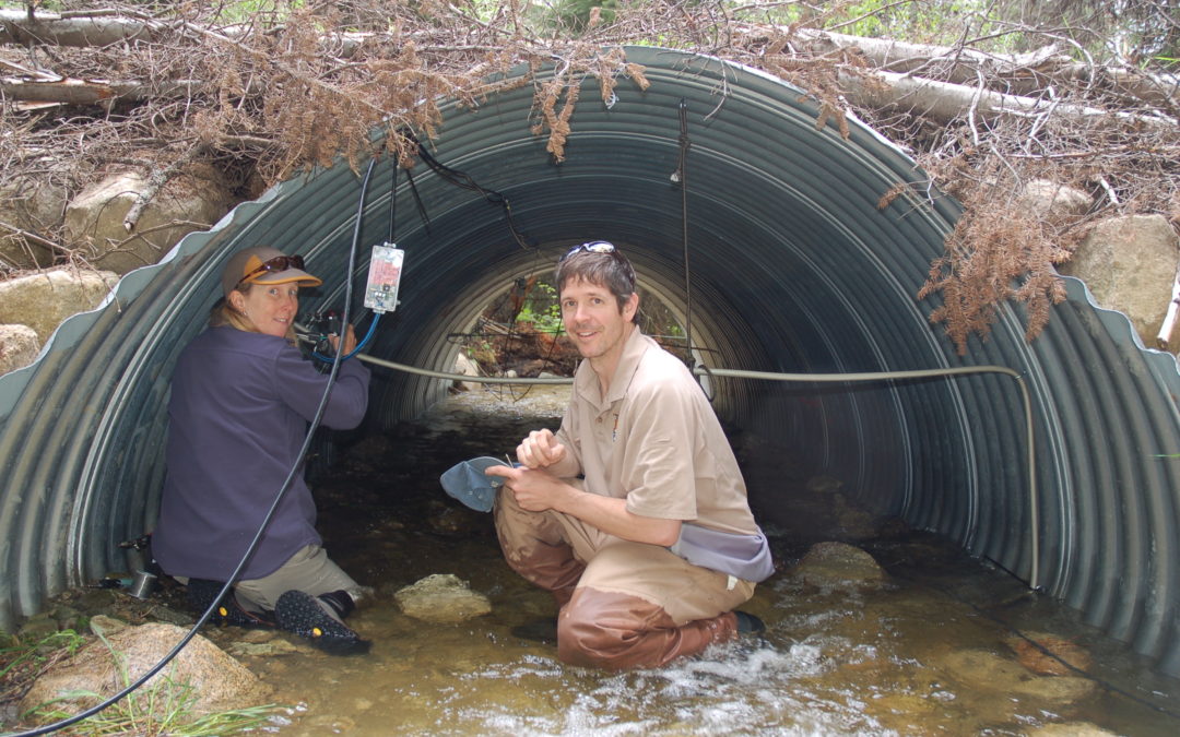 Monitoring fish movement is a vital conservation tool