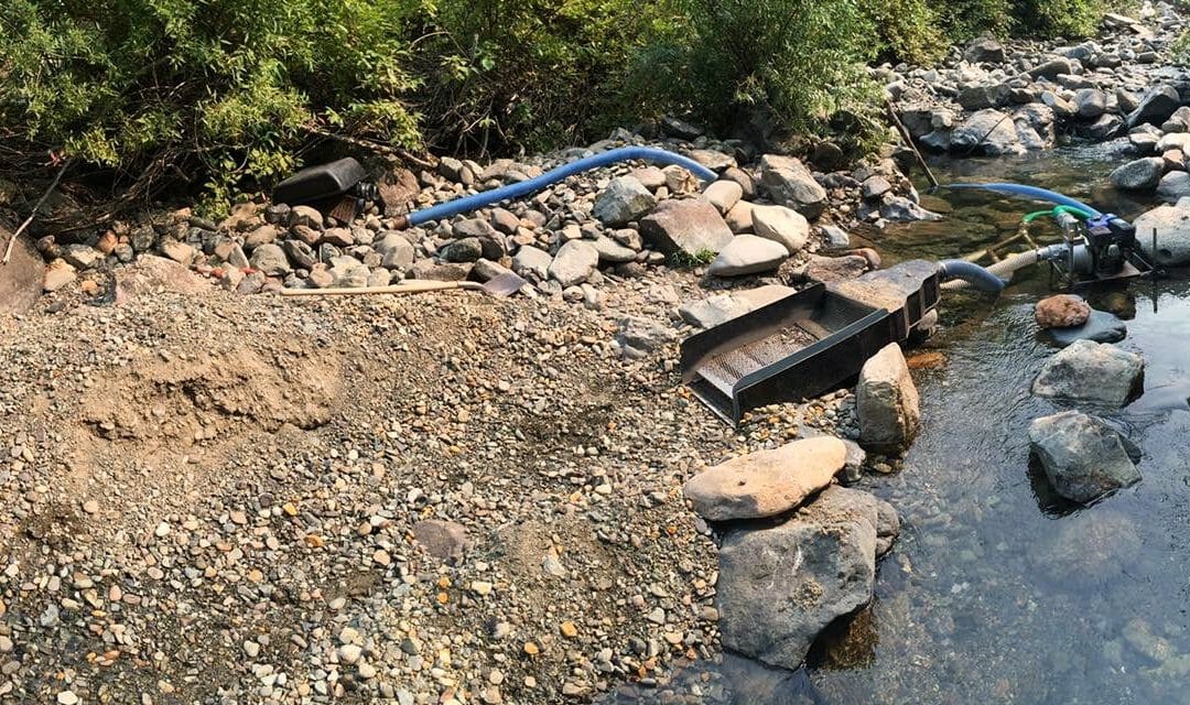 Washington water woes in Seattle Times