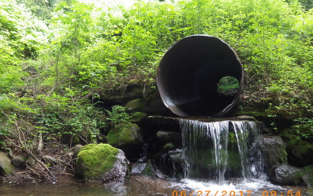 TU awarded $750K for projects in Upper Delaware