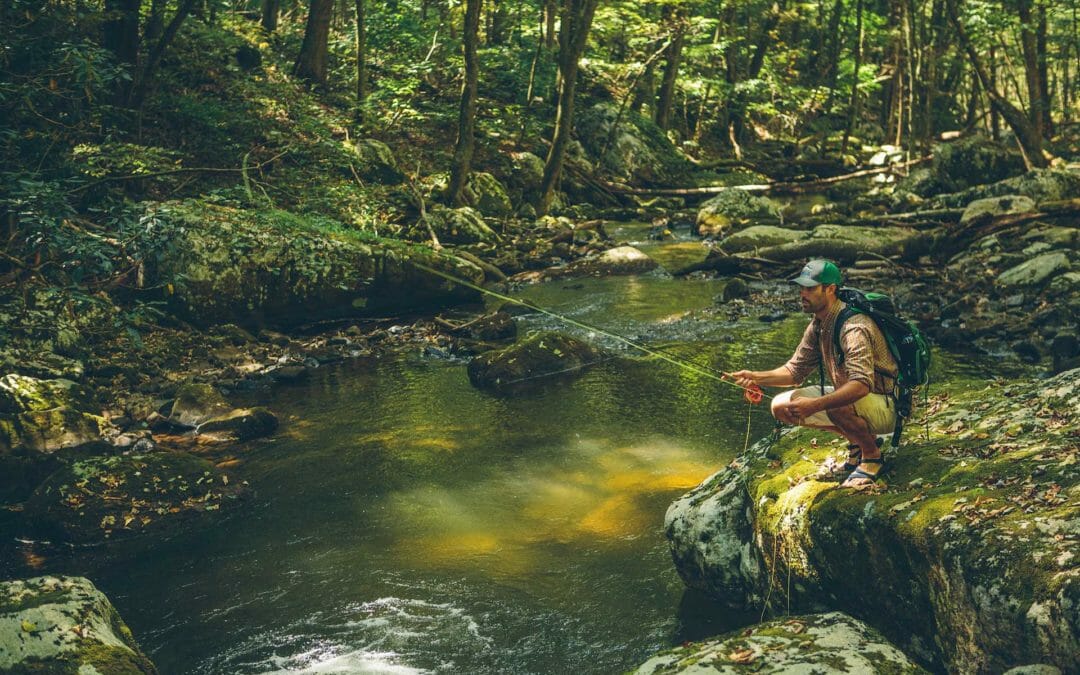 September is #publiclandsmonth