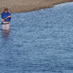 An angler fishes for sea-run brown trout on Tierra del Fuego's Rio Grande River.