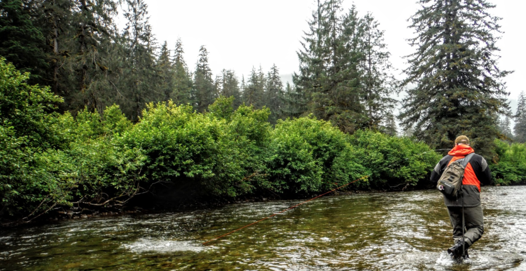 The author connects with a pink salmon on a tributary of the Stikine River, Tongass National Forest, Alaska. Photo by Delaney Hunt. 