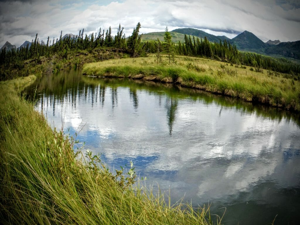 An eastern Alaska boreal creek. 