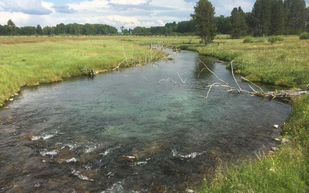 New TU video highlights Upper Klamath River restoration