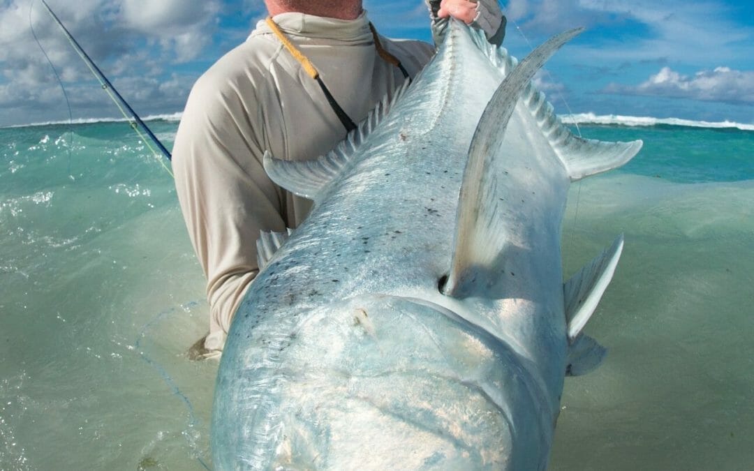 Fly fishing’s trade association on the rise
