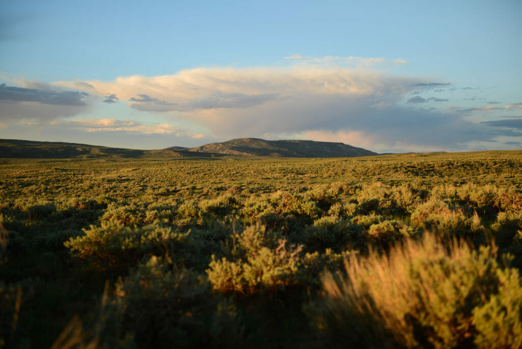 The Public Lands Renewable Energy Development bill would help balance solar and wind energy with protecting fish and wildlife populations