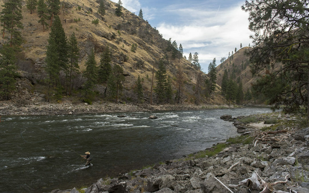 Longtime conservation officer now focused on steelhead and salmon