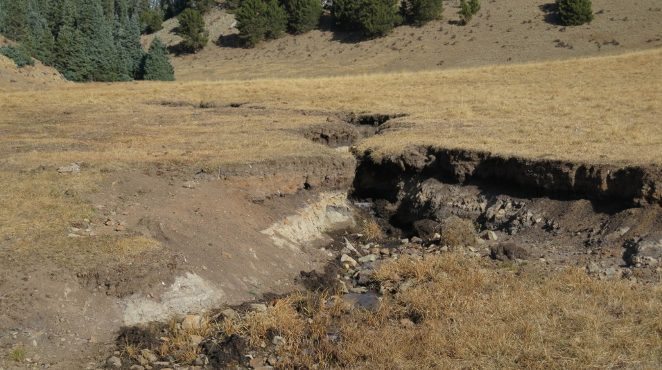 An eroded creek in New Mexico.