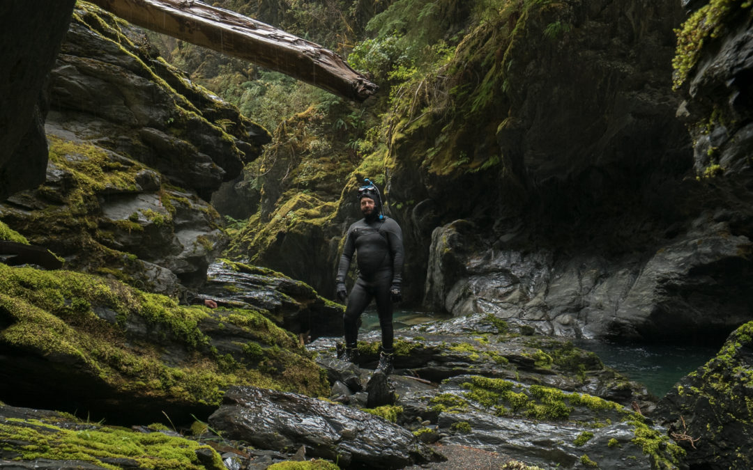 The Phoenix in the Elwha River