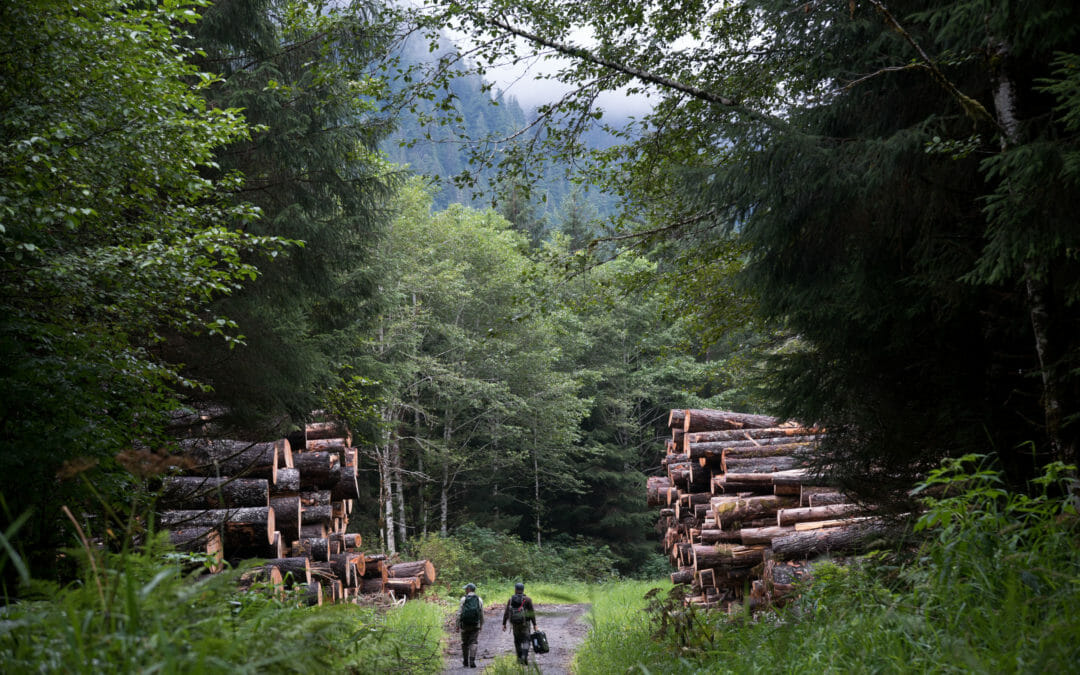 The Chugach National Forest caught up in roadless mess