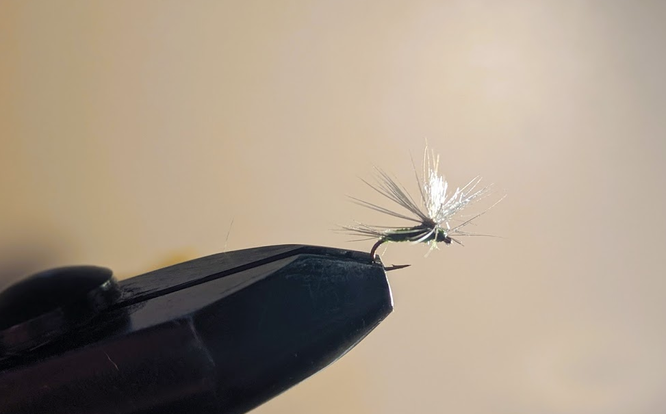 A Blue-winged Olive mayfly imitation.