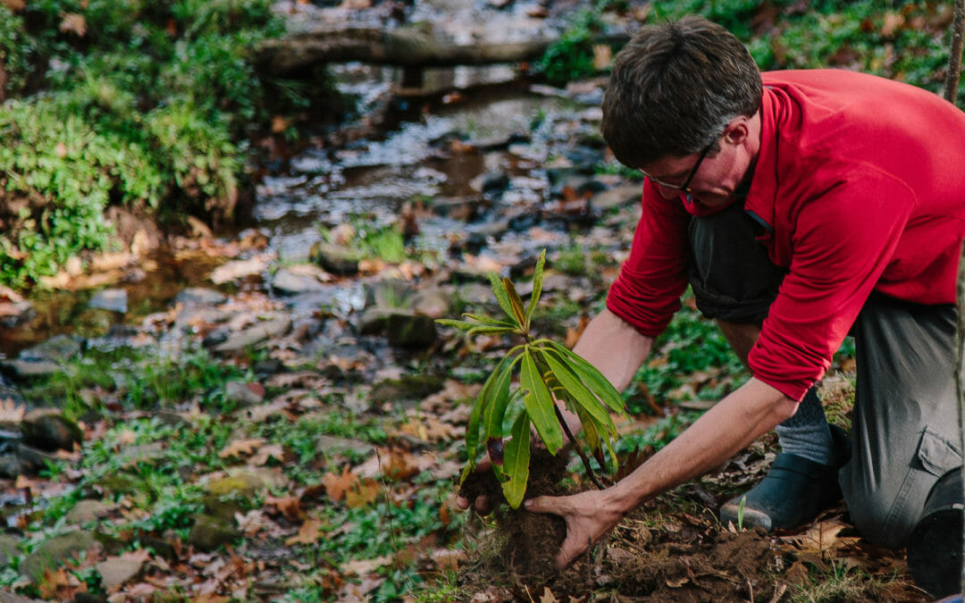 TU spearheads growing partnership for brook trout conservation in MD