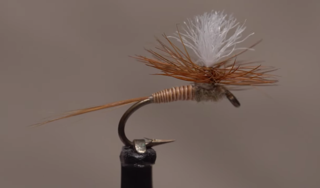 Tying quill bodies