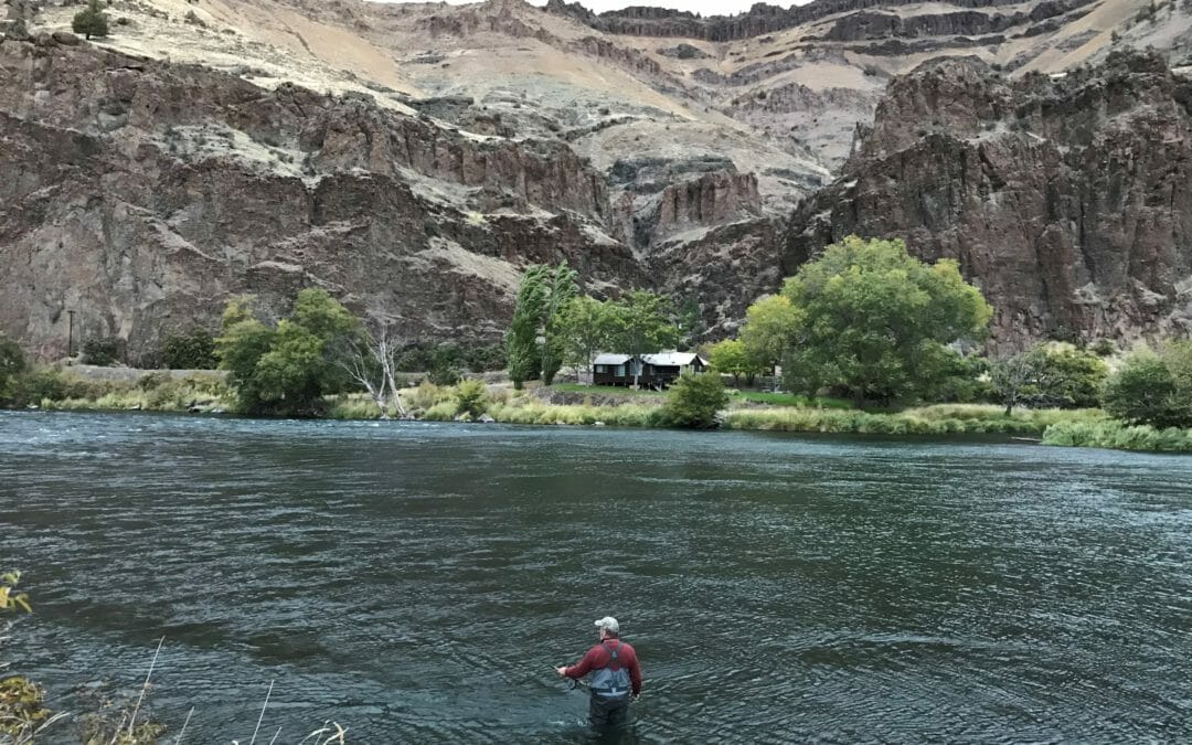Steelhead days