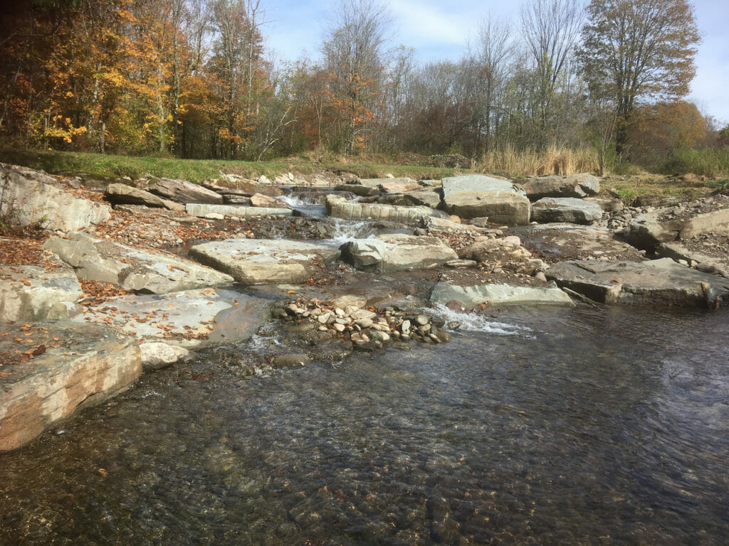 TU, Partners Aid Brook Trout With NY Dam Removal Trout Unlimited