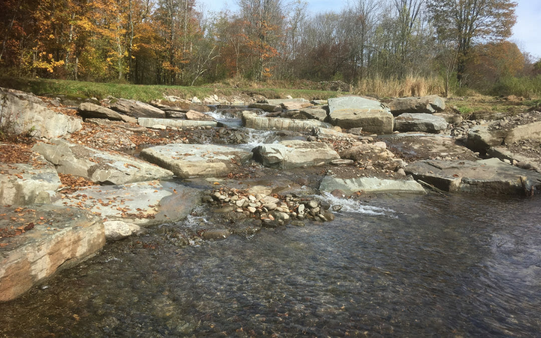 TU, partners aid brook trout with NY dam removal