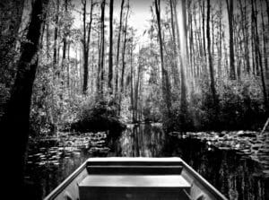 The Okefenokee National Wildlife Refuge