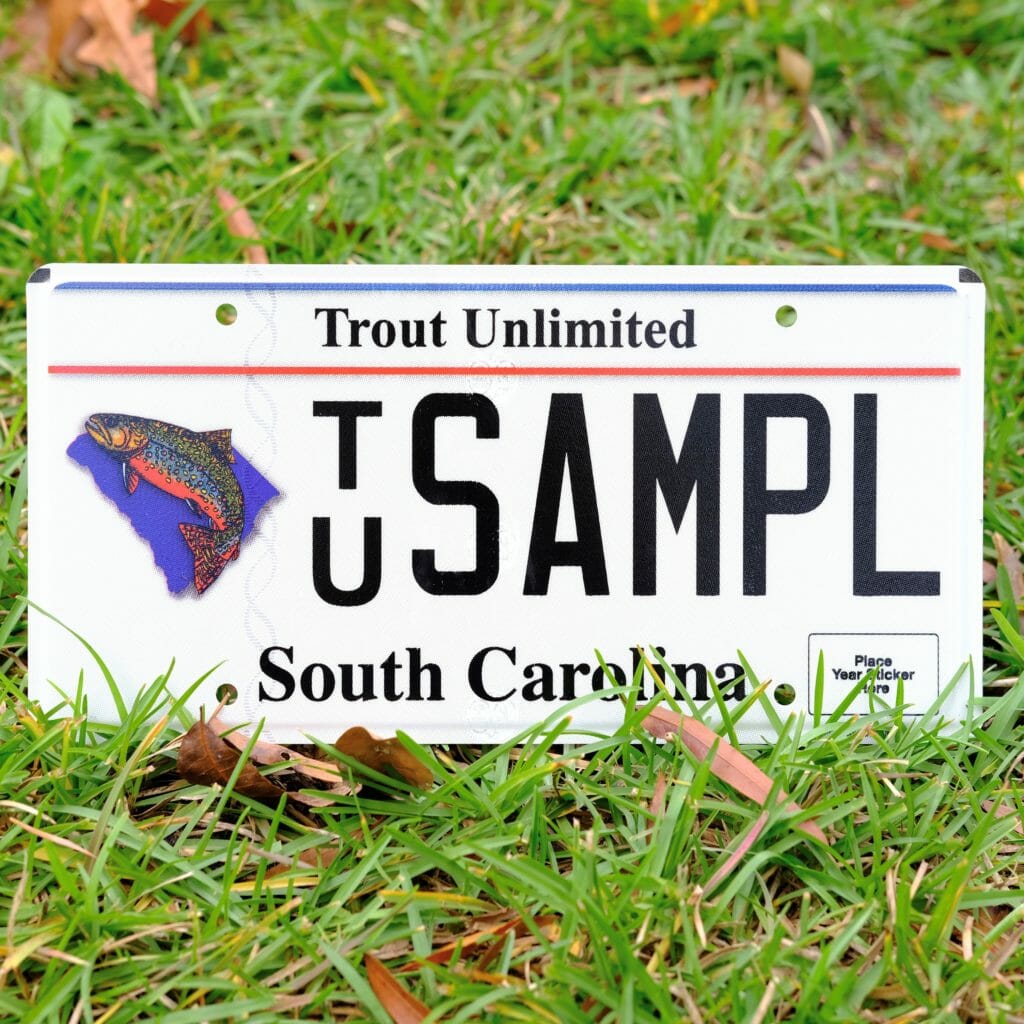 New license plate means happy trout in South Carolina Trout Unlimited