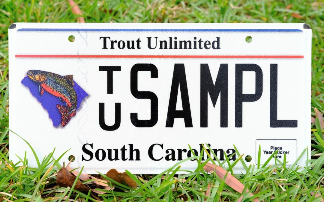 New license plate means happy trout in South Carolina