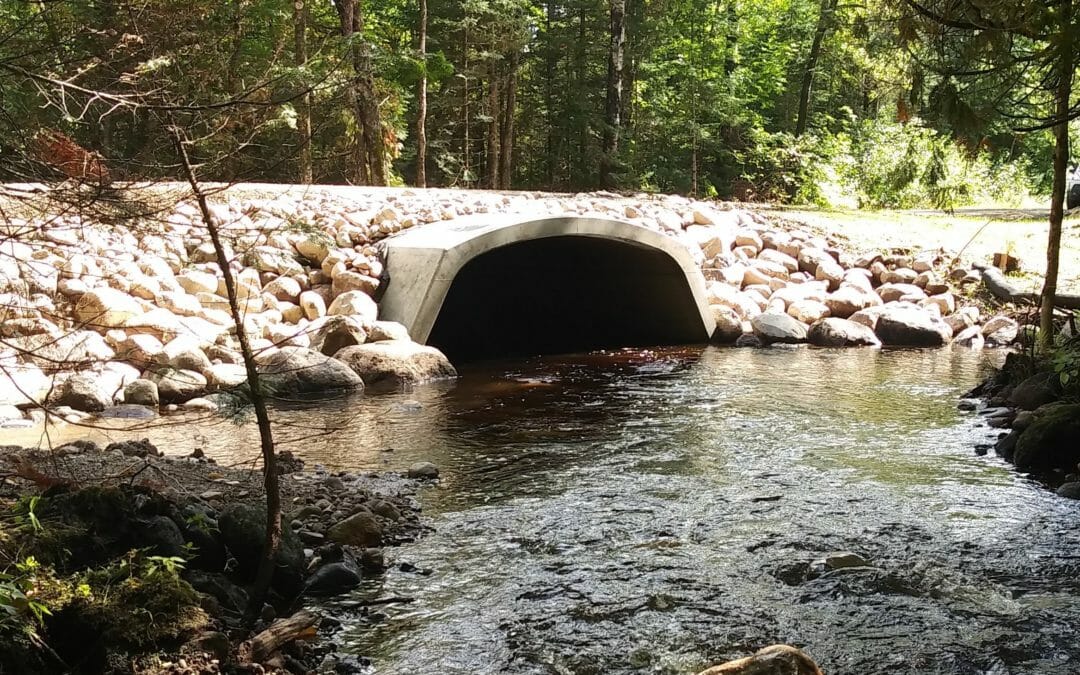 Grassroots partnerships key trout wins in Wisconsin