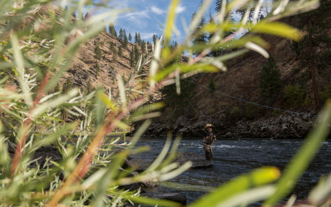 Brown Bag: Bringing Back salmon and steelhead on the lower Snake River