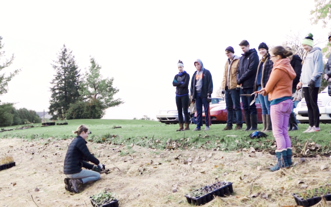 Grand Valley State U film crew highlights Green Team