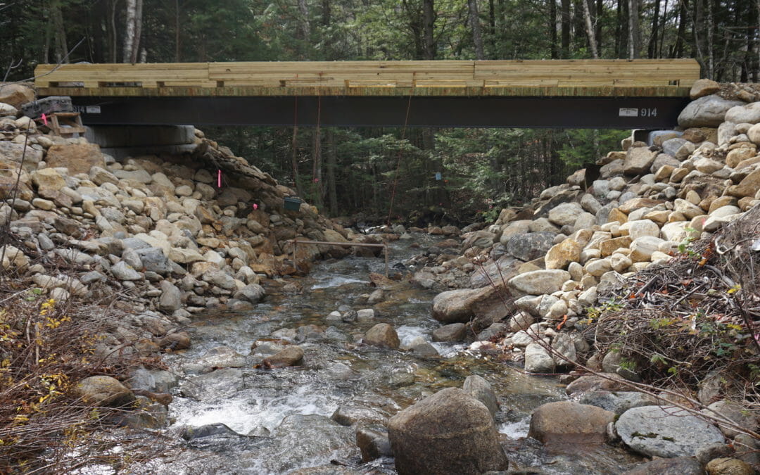 Senate passes ‘transformational’ infrastructure bill for fish