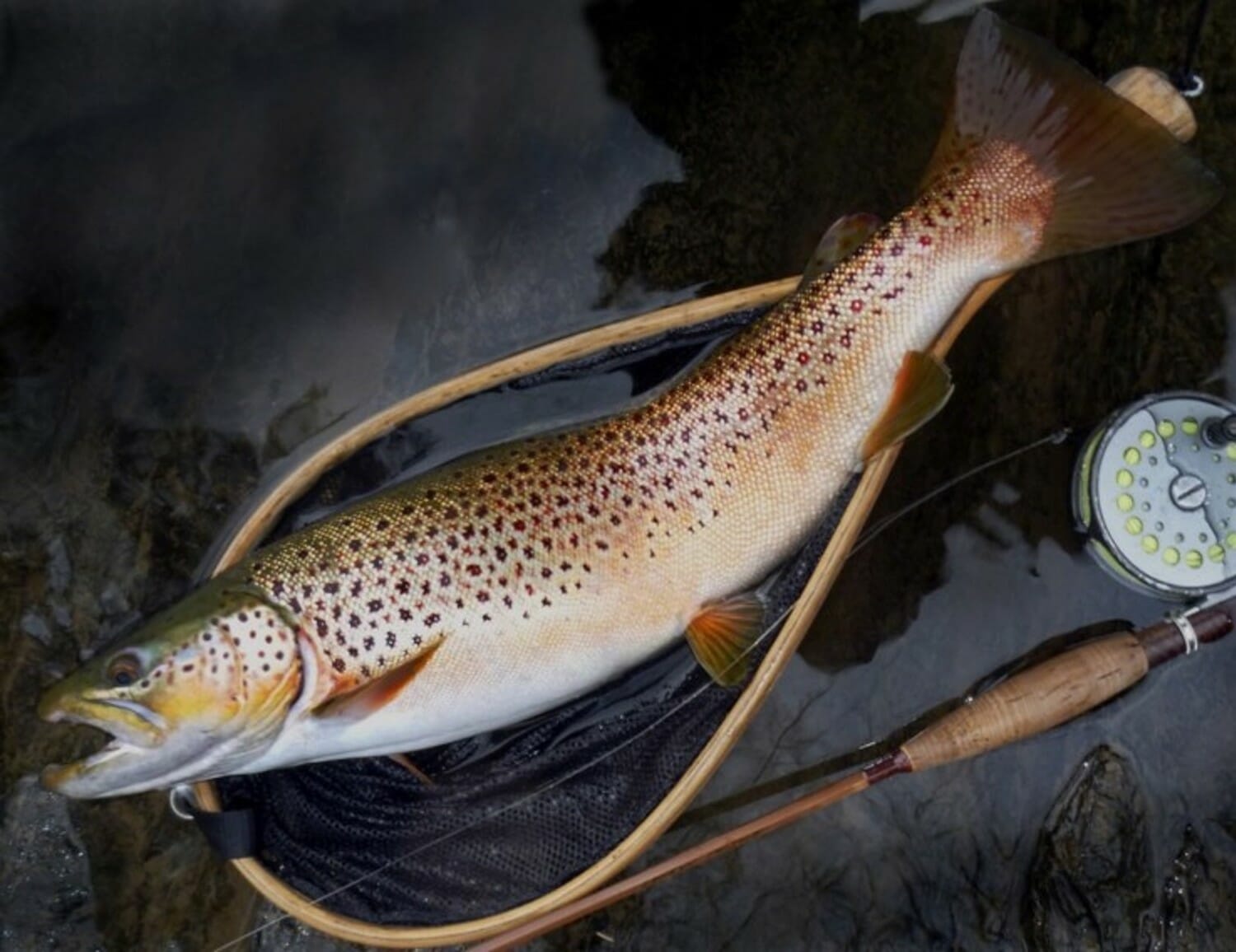 TU Launches Major Restoration Effort On Battenkill - Trout Unlimited