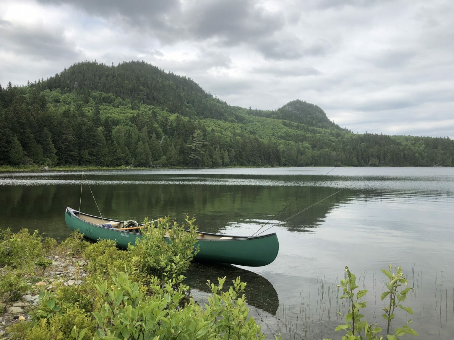 Chandler Lake Camps And Lodge Trout Unlimited