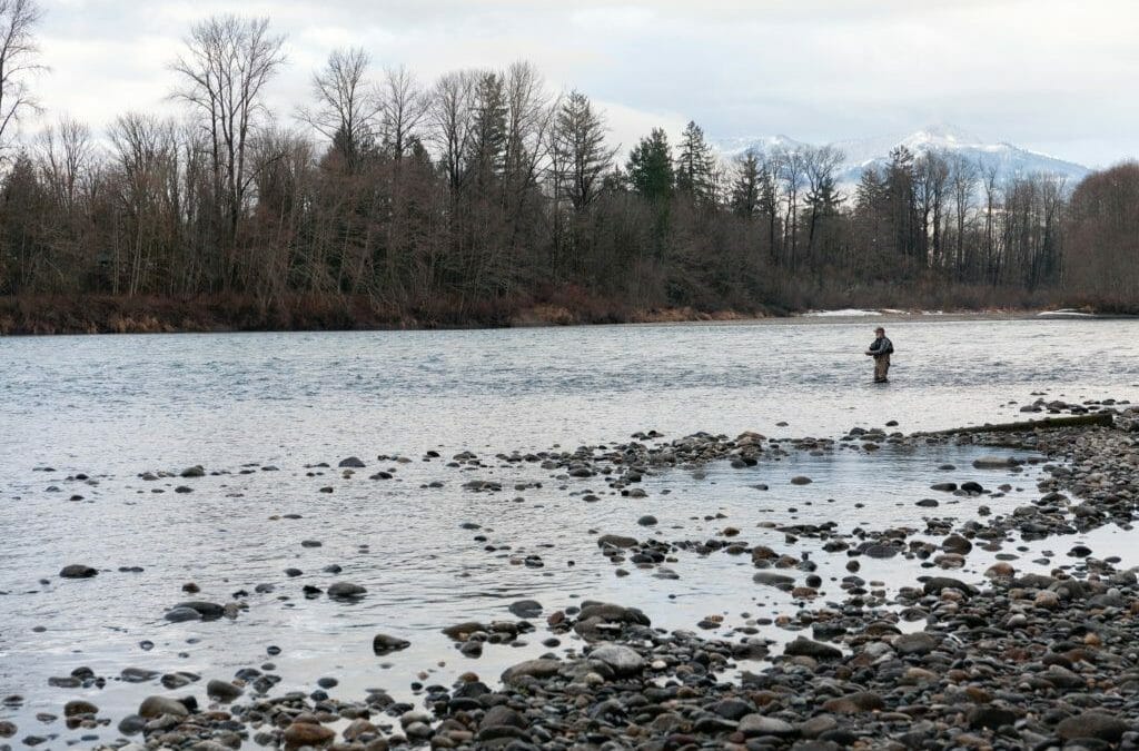 Lean season for Washington steelhead (and what anglers can do about it)