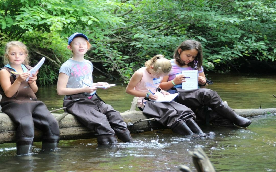 Restoration drives advocacy in the Great Lakes, thankfully