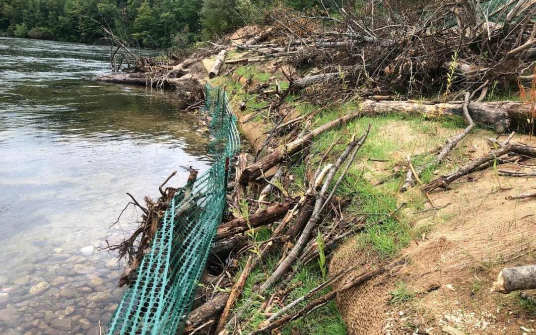 TU completes first phase of Tippy Dam site bank restoration in Michigan