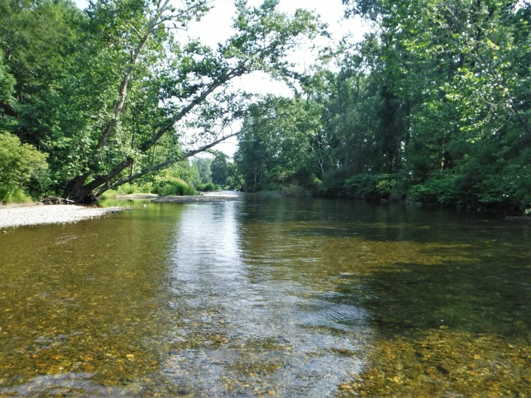 TU launches major restoration effort on Battenkill Trout Unlimited