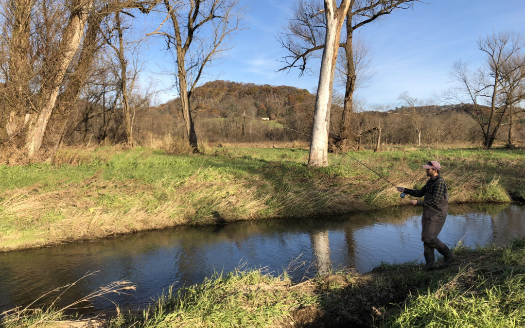 Minnesota’s 2020 Driftless Area restoration overview