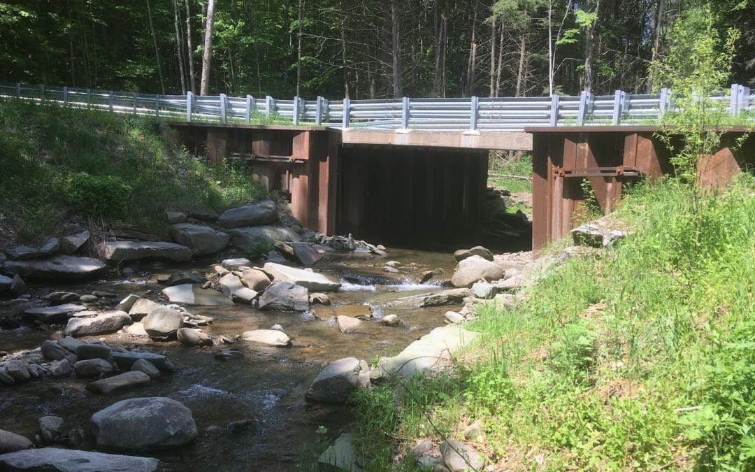 TU lauds proposal to bolster conservation funding in New York