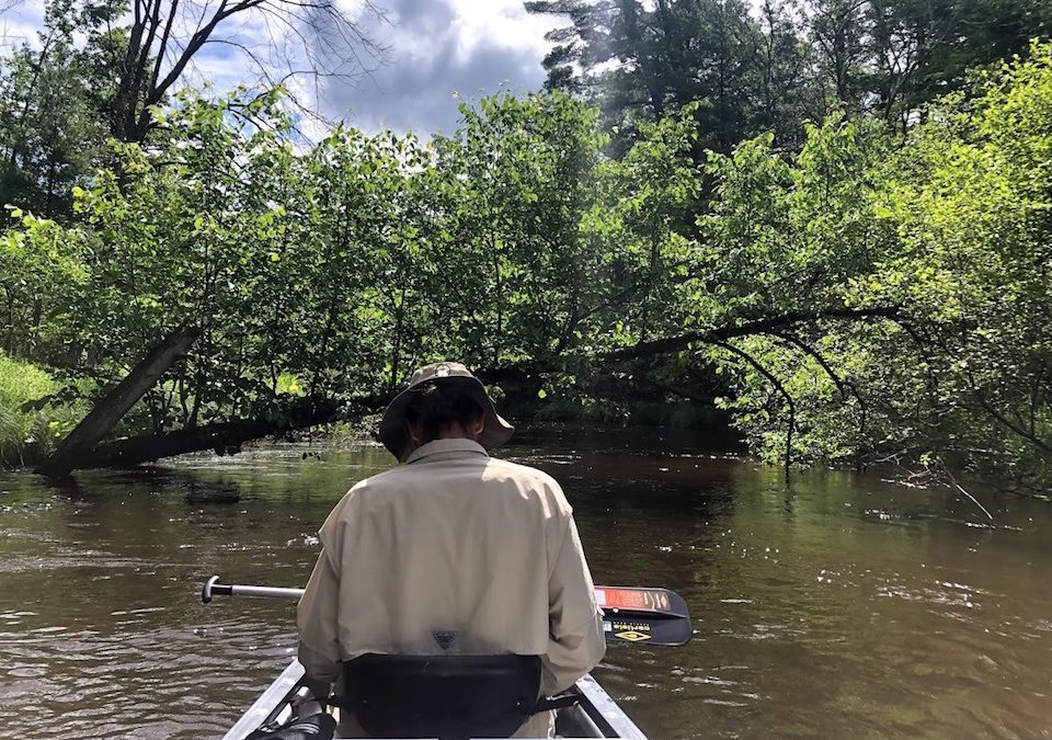 Griphoists aid in Wild and Scenic wood management