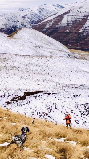 Of chukar and steelhead in the Snake River country