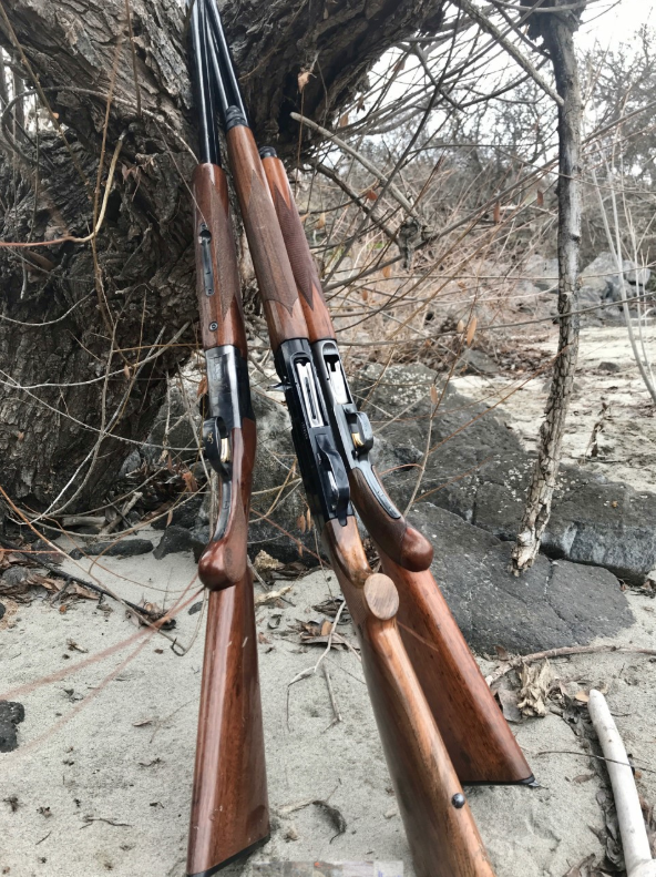 Three shotguns used for chukar hunting.