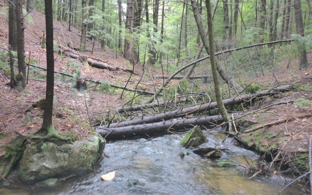 TU improving habitat in Lakes Region of NH