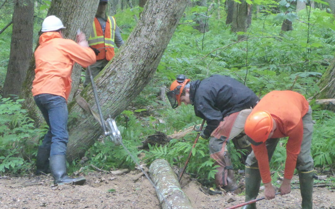Newsletter highlights successes in New England