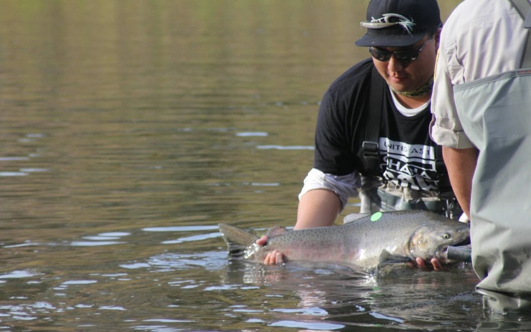 Functional streamflows key to recovering salmon and steelhead