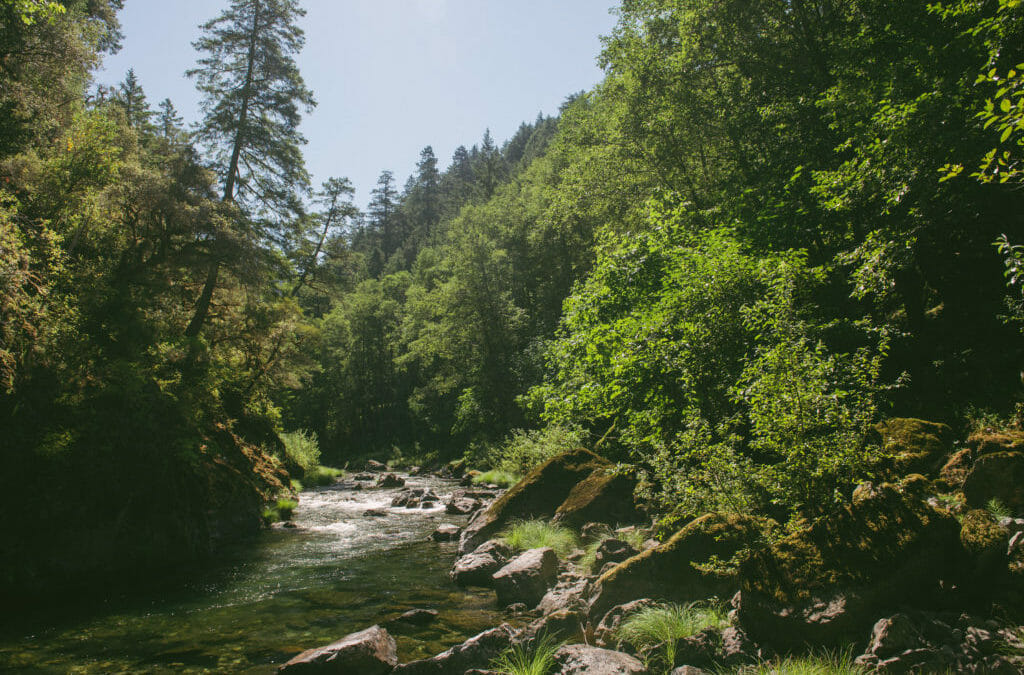 Conservation and timber interests agree to changes to Oregon forest practices