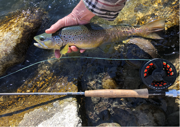 Uncompahgre River RV Park is a great fishing launching pad