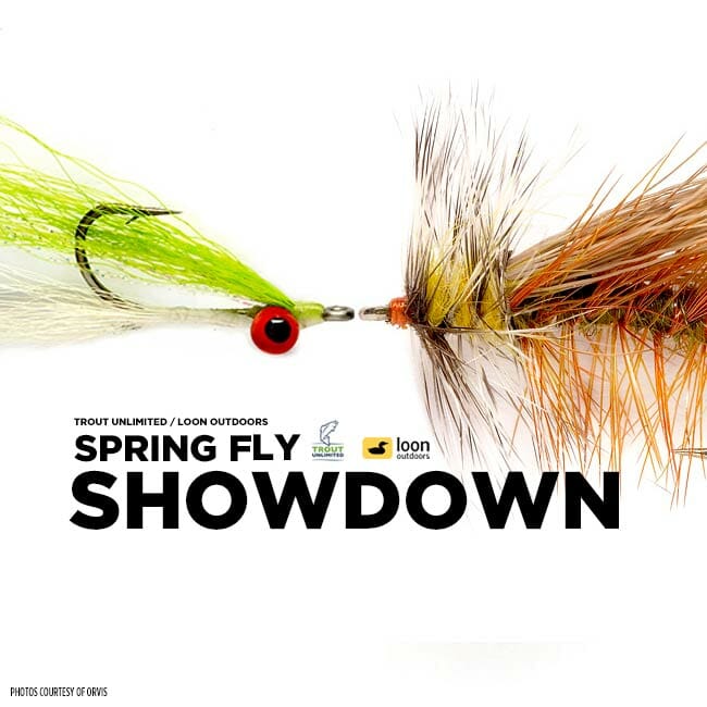 Spring Fly Showdown: Bead-head Hare's Ear Vs. March Brown Wet Fly