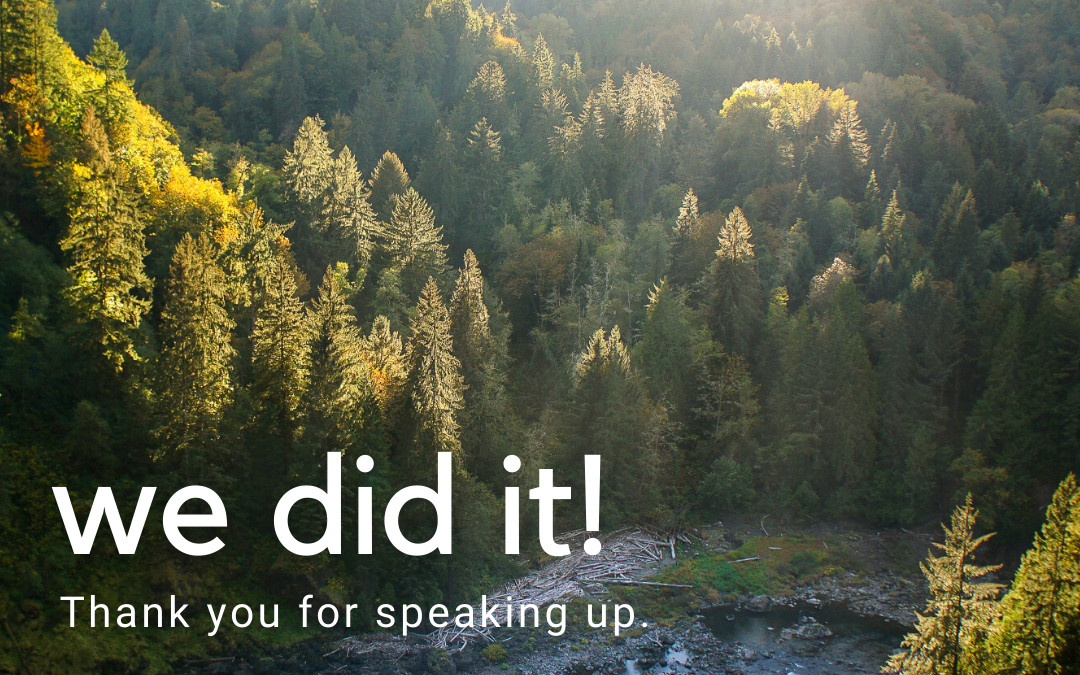 Win for Washington waters: What it took