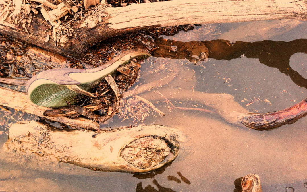 River treasures