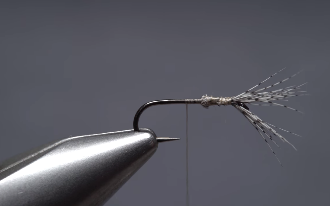 Atherton No. 2 Nymph