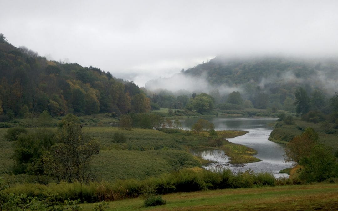 American Rivers names Delaware its River of the Year