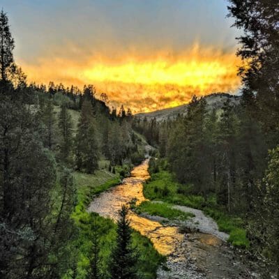 A trout stream running through a canyon at sunset.